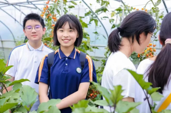 情境使命鼓舞学生运用科学探求工程规划和智能创造力完结应战 情境使命鼓舞学生运用科学探求工程规划和智能创造力完结应战